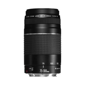 Canon EF 75-300 mm f/4-5.6 III Telephoto Zoom Lens